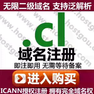 cl domain name registration supports pan-resolution unlimited second-level domain Rice foreign trade Chile website purchase application