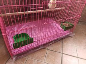 Clean Bag Removable Thick Tray