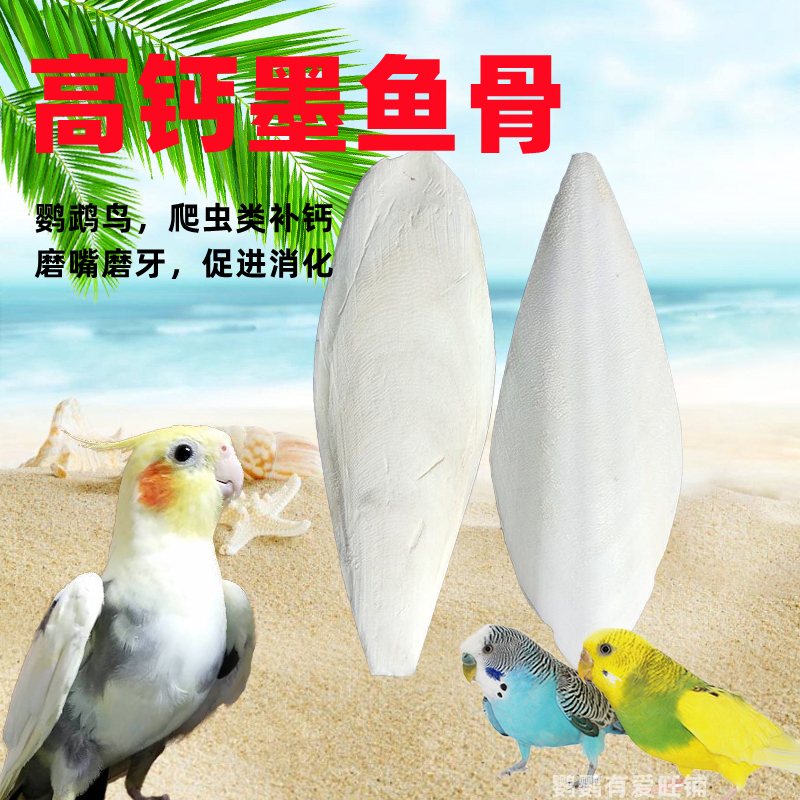 Inkfish Bone Parrot Supplements Calcium Nibbling Grinding Mouth Breeding Nourishment Polished Edging a large sea tick Cuttlebone Ink Fish Bone-Taobao