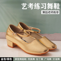 Uighur dance shoes for women Xinjiang dance shoes Uighur heels modern dance shoes Latin dance shoes examination shoes ethnic dance shoes