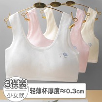 Girls bras junior high school students older childrens development period pure cotton vest 12-16 years old adolescent summer thin