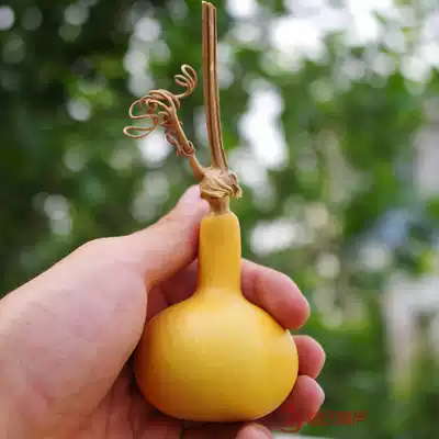 National natural special-shaped garlic alone in the grass