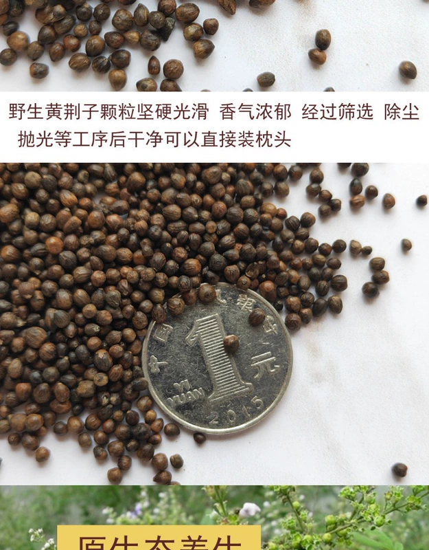 Huang Jingzi Gối Gối Filler Vải Hạt vải Vải Jingren Golden Zijing Golden Seed Soul Giúp đỡ gối - Gối