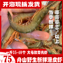Zhoushan Green Peel Shrimp Fresh Sea Catch Live Leather Shrimp Large Size Slip Shrimps Shrimp Green Shell Shrimp 35 left and right Aquatic Shrimp