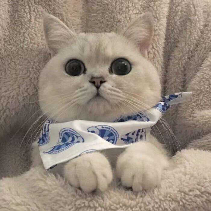 小美人美妆店