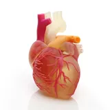 Промышленный трехмерный высокоточный школьный принтер, 3D печать