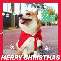 Pet Christmas cloak double-sided velvet festive clothes dog cat holiday cloak pet photo Christmas hat Koji