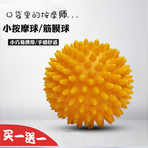 Massage relaxation Acupuncture points Thorn ball Grip ball Fascia fitness ball Hedgehog ball Childrens hand grip ball Small massage ball