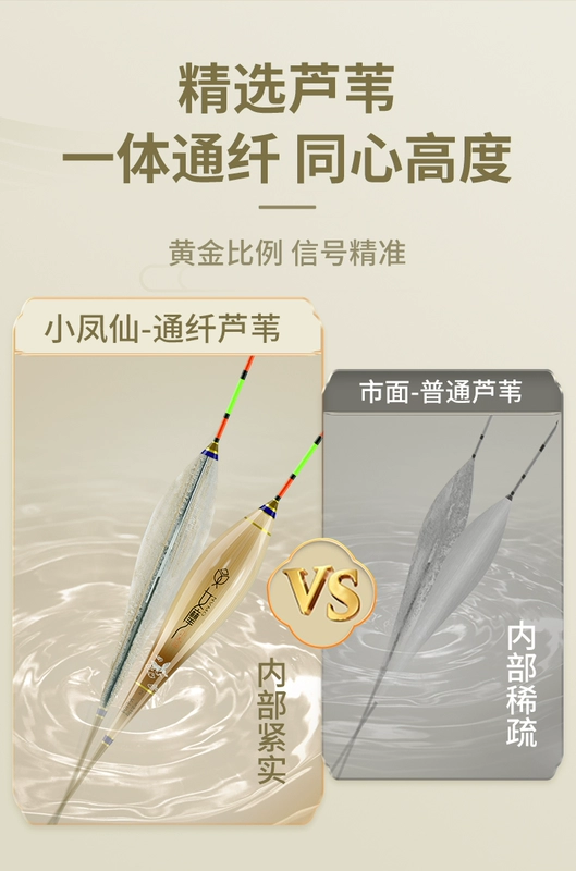 Phao câu cá Xiaofeng Fairy Mo Reed Phao câu cá có độ nhạy cao, đậm bắt mắt Phao câu cá đáy dành cho cá chép diếc miệng nhẹ và câu cá hoang dã phao câu đêm đổi màu phao câu rô phi
