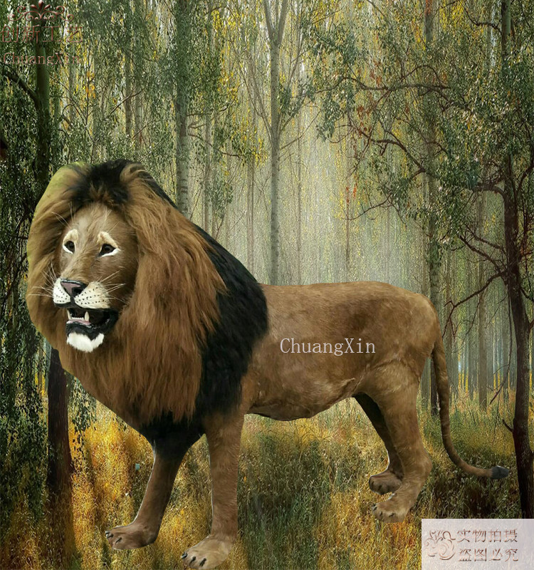 Emulated Male Lion Decorations Model Animal Craft Gift Swing Accessories Living Room Office Hotel Exhibition Hall Pendulum, etc.