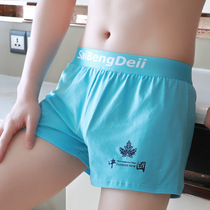 Underpants mens pure cotton quality breathable loose flat angle pants Boys mid waist Four corners Short pants Aro pants Green Sky Blue