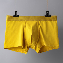 Underpants mens boxer cotton boxer pure color u-convex mens shorts mid-waist breathable mens boxer pants wine red yellow