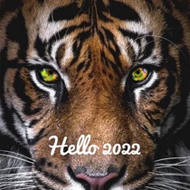 The re-shooting link in the live broadcast room of Opal Island Jewelry will not be returned or exchanged