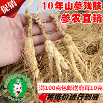 Mountain ginseng residual branches 10 years of ginseng age bubble wine Mountain ginseng Changbai Mountain Ginseng Forest ginseng 100 grams send antler 10 grams