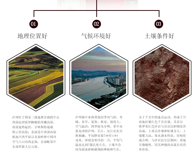 泸州老酒坊 财路顺 52度6瓶整箱 图15
