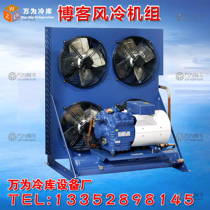 German blog semi-hermetic piston compression condensing unit air-cooled water-cooled box-type cascade parallel cold storage unit