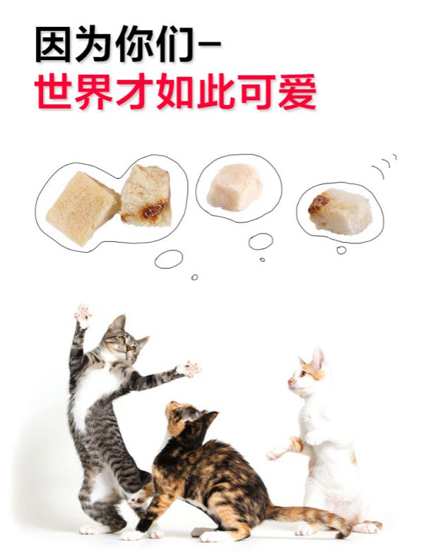 Đồ ăn nhẹ cho mèo cưng mèo Mèo đông khô thịt giàu protein và thịt khô miếng thịt 7 hương vị 70g / 80g tùy chọn - Đồ ăn nhẹ cho mèo cám mèo