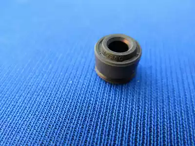 Garnaz XTR250 ADV250 TGR250 engine valve oil seal