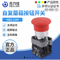Helijia metal Big Head button XB2-11M mushroom head self-start stop switch 22mm Factory Direct