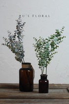 Simulation green plant eucalyptus leaf home decoration green plant ins style home decoration frigid wind photography