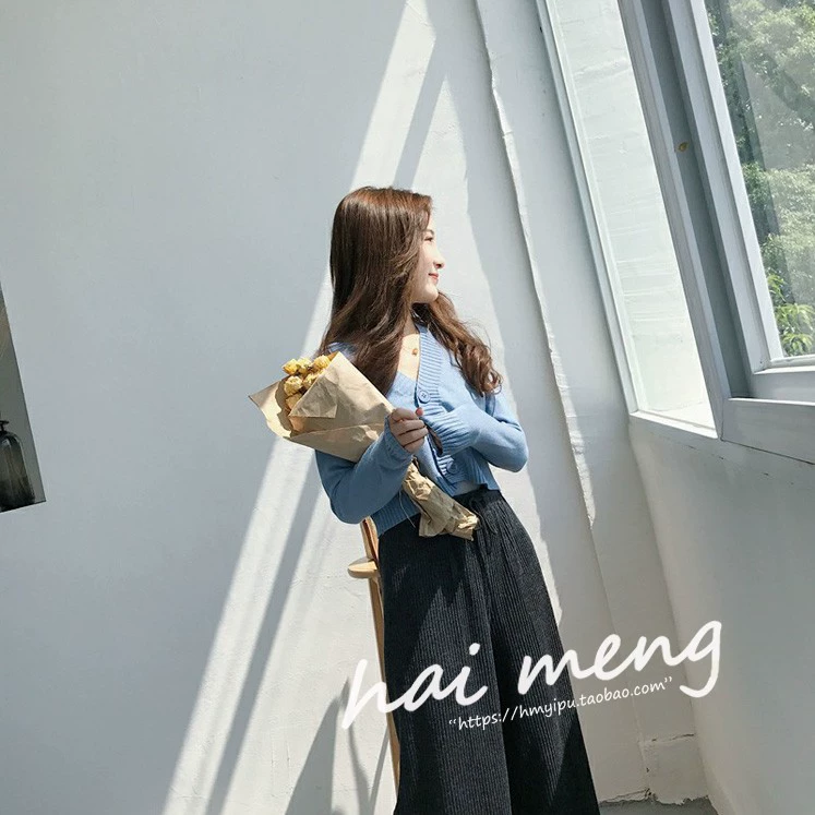 Áo dệt kim nữ dài tay 2017 mới Hồng Kông phong cách retro chic lỏng hoang dã cổ chữ V áo len ngắn