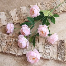 Single branch 7 peony flower wedding wedding flower flower wall decoration home decoration simulation flower Rose