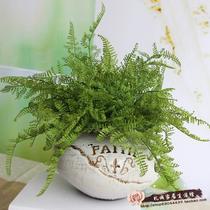 Simulation of leaf pine fern leaf ginkgo leaf hipster green plant bonsai flower arrangement grass Persian leaf arrangement