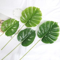 Single-chip hand-feeling turtle back leaf simulation green plant flower arrangement wedding road flower wall decoration fake flower green leaf