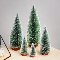 Mini Christmas tree cedar desktop small Christmas tree desktop window display Christmas gift Christmas decorations