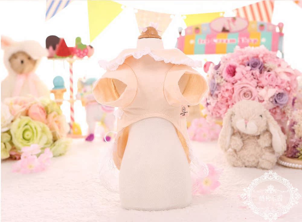 Pet quần áo ren chó nhỏ chó nhỏ Teddy West Yorkshire chó con công chúa quần áo mùa xuân và mùa hè - Quần áo & phụ kiện thú cưng nón cho chó