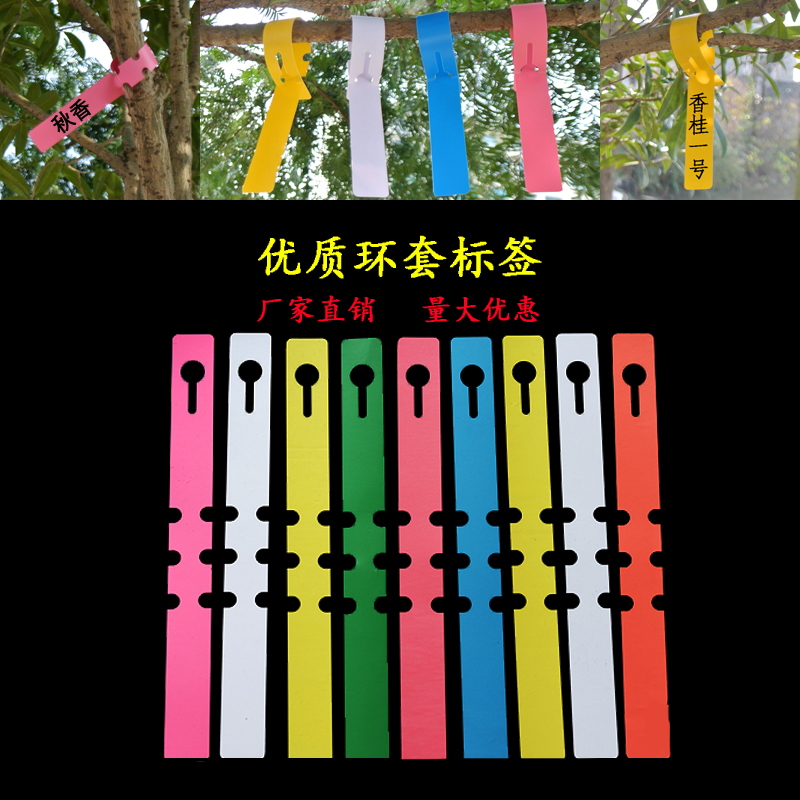 Pvc Waterproof Ring-Shaped Flower and Plant Labels, Seedling Gardening Labels, Plastic Orchid Labels, Ring Buckle Marking Tags