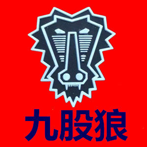 九股狼骑行鞋正品