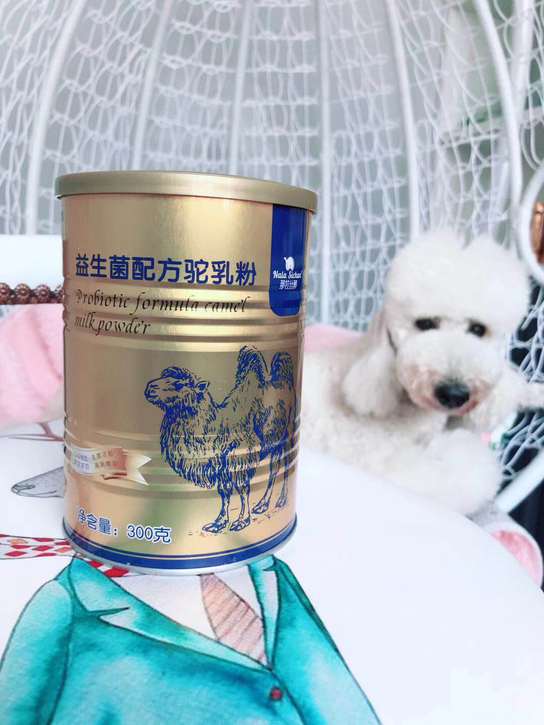 Special product service shoot Xinjiang specialty camel milk