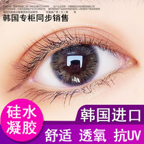 dreamcon Korean silicone hydrogel beauty pupil year throw female small diameter contact lens big non-ionic TF
