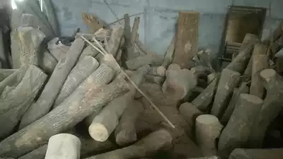 Custom logs camphor wood wood size tree stumps Handmade diy carving large pieces of wood square original ecological round wood