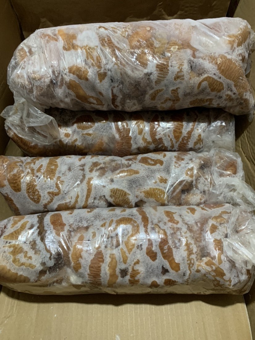 The cow's small intestine is cooked and the meat is thicker and more oil clean 8 catties