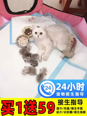 Cat delivery room pregnancy cat maternity nest birth box closed pregnant cat dog production ready supply package