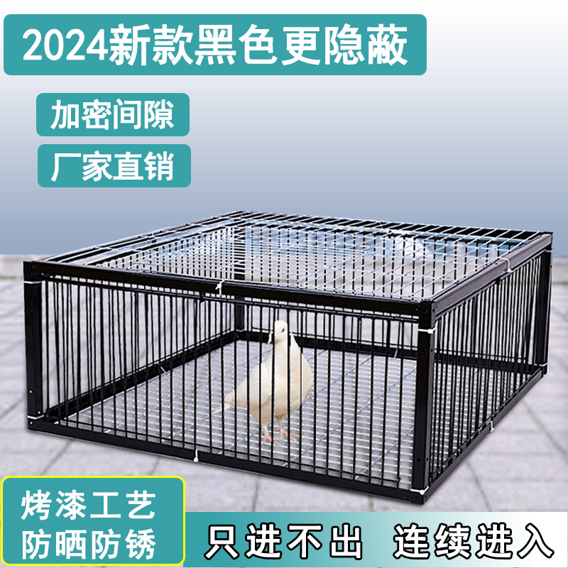 <!--信鸽天落笼加密只进不出鸽子笼户外鸽子笼全自动收鸽笼鸟笼包邮-->