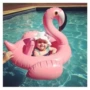 Vòng bơi cho trẻ em 3-6 tuổi bé flamingo vòng bơi trẻ em kỳ lân gắn thiết bị bơi cho bé phao bơi chống lật cho be