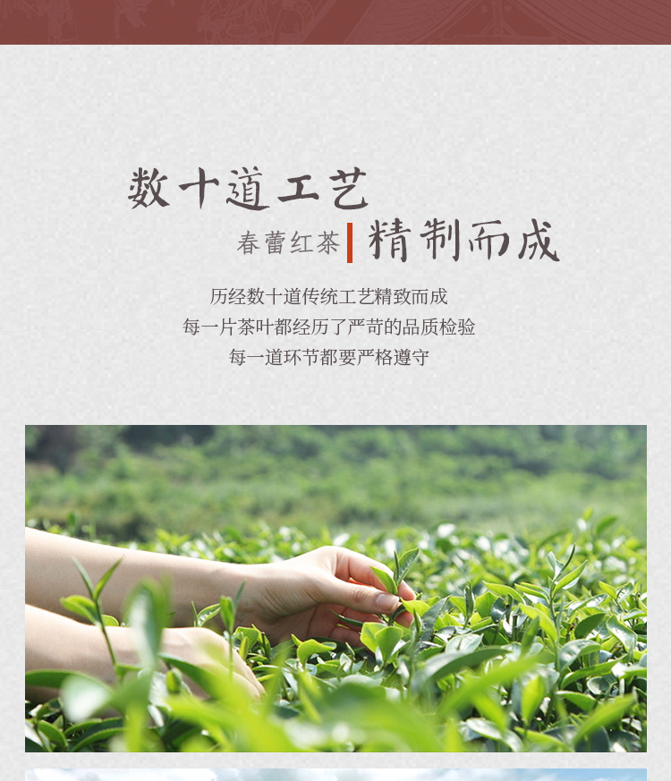 【林恩·春蕾】红茶60g袋装