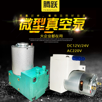Micro vacuum pump 12v suction pump 24 volt diaphragm pump screen removal machine negative pressure pump suction pump beauty instrument air pump