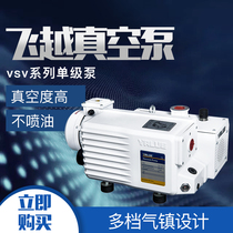 Feiyue single-stage rotary vane vacuum pump for high vacuum industrial use VSV020 100 printing blister Medical Packaging