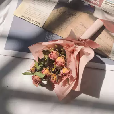 Common Fig 無花果玫瑰乾燥花北歐小花束生日禮物女客廳擺設