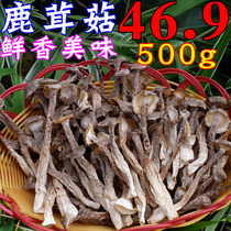Velvet mushroom deer fungus dry goods 500g Fujian Gutian fresh edible fungus bamboo fungus bamboo mushroom mushroom Agaricus matsutake