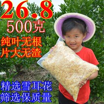Gutian white fungus crushed basswood snow ear flower 500g high quality white fungus chips farmhouse sulfur-free saitongjiang