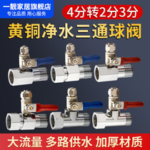 Kitchen water purifier straight water dispenser joint three-way ball valve quick open straight joint live connection 46 points to 23 points