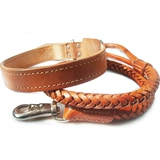 Бесплатная доставка апельсиновая кожаная тяга питомца Большая и средняя для собачья воротник