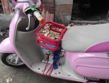 siège enfants pour vélo - Ref 2421126 Image 13