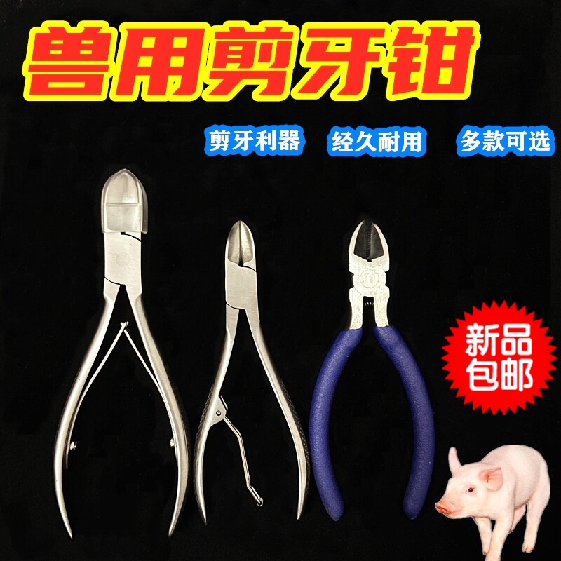Piglet cutting teeth pliers pig animal stainless steel pig sheep rabbit with cutting teeth pliers cutting teeth pliers medium large