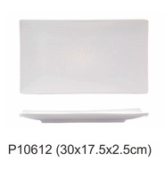 P10612 (12 -Новая прямоугольная пластина с рисунком прямоугольной воды) 475G